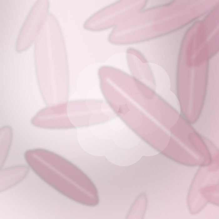Soft abstract botanical illustration